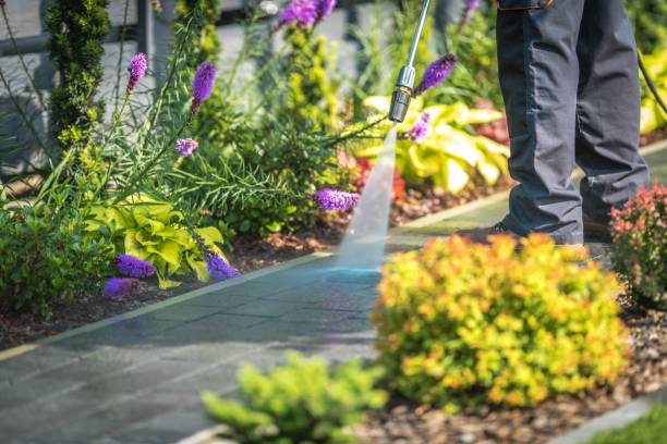 Animal Enclosure Cleaning in South Lyon, MI