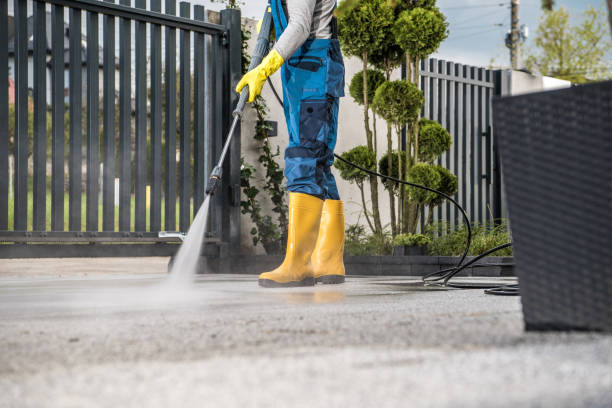 Best Fence Cleaning  in South Lyon, MI
